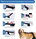 ccl brace for dogs