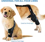 ccl brace for dogs