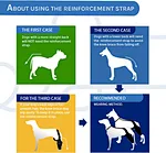 rear leg brace for dogs